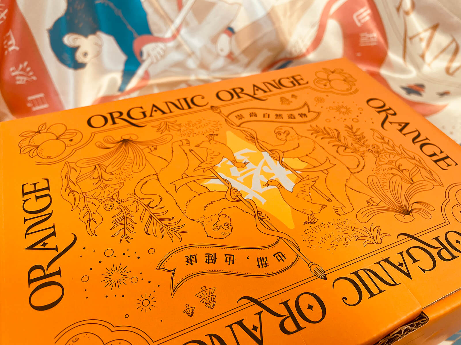爱马仕橙水果礼盒包装设计 X 张晓宁(图6)