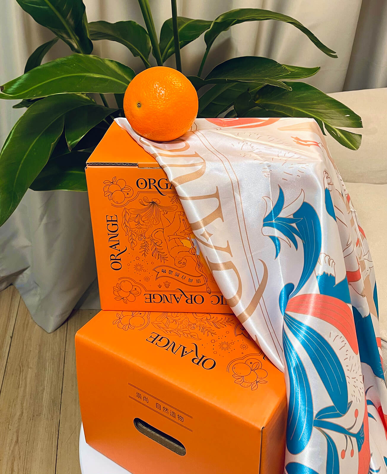 爱马仕橙水果礼盒包装设计 X 张晓宁(图7)